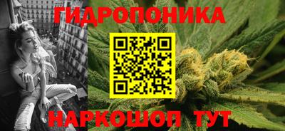 крисы Обнинск